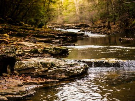 Property in Rhea County, Tennessee