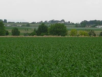 Property in Weld County, Colorado