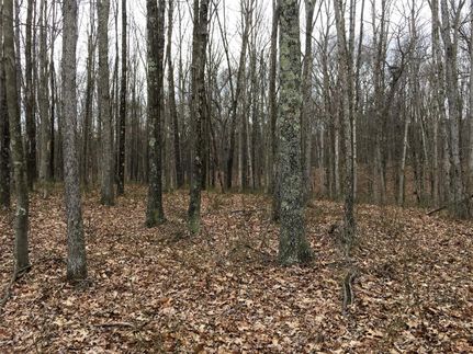 Property in Morgan County, West Virginia