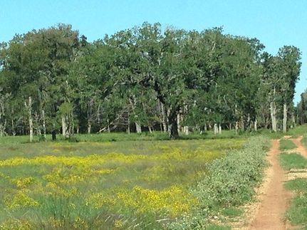 Property in Fayette County, Texas