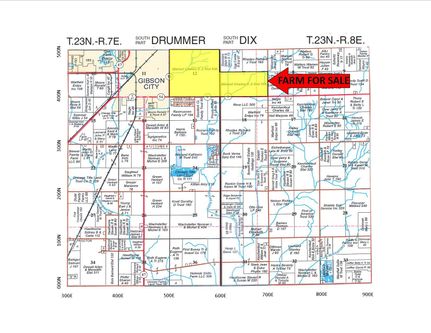 Property in Ford County, Illinois