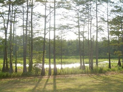 Property in Jenkins County, Georgia