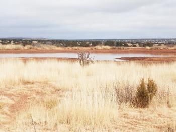 Property in Guadalupe County, New Mexico