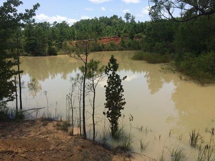 Property in Henry County, Alabama