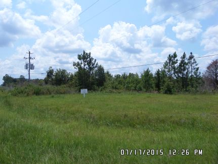 Property in Wayne County, Georgia