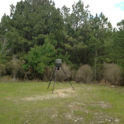 Property in Claiborne Parish, Louisiana