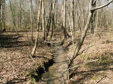 Property in Heard County, Georgia