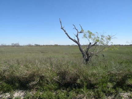 Property in Cameron County, Texas