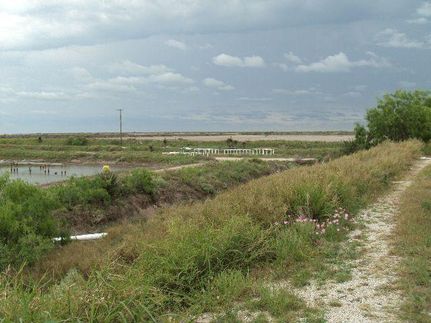 Property in Cameron County, Texas