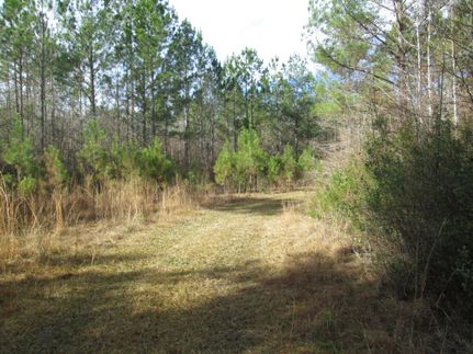 Property in Pierce County, Georgia
