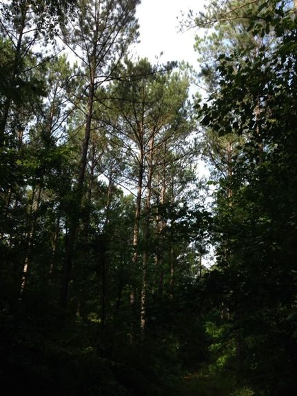 Property in Coosa County, Alabama