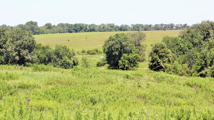 Property in Scotland County, Missouri