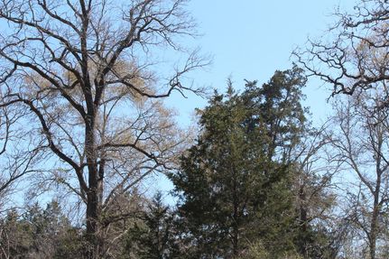 Property in Colorado County, Texas