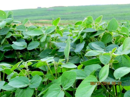 Property in Ramsey County, North Dakota