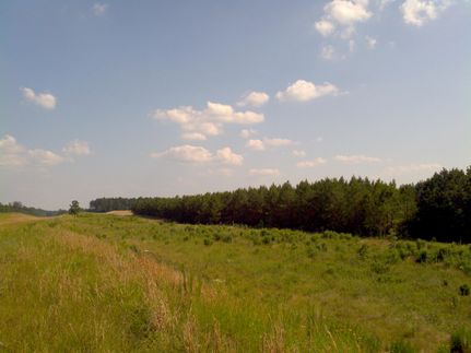 Property in Lincoln County, Arkansas