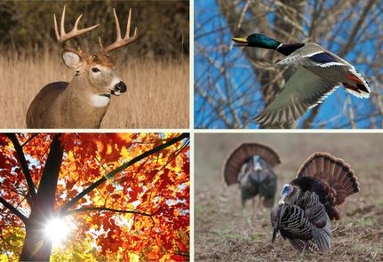 Property in Ashley County, Arkansas