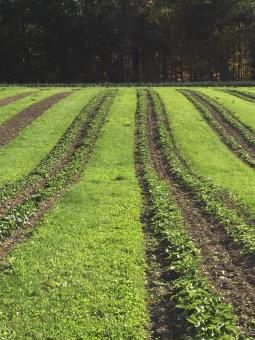 Property in Seneca County, New York