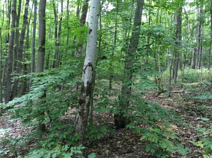 Property in Steuben County, New York