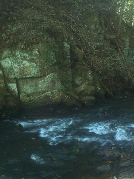 Property in Pickens County, Georgia