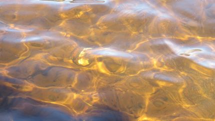 Property in Vilas County, Wisconsin