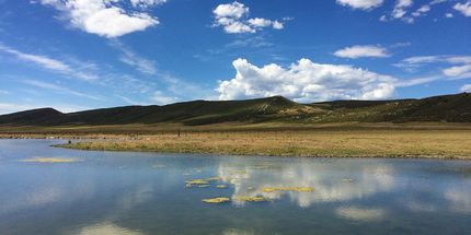 Property in Larimer County, Colorado