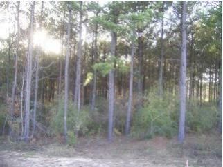 Property in Pike County, Alabama