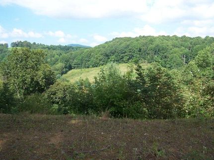 Property in Carroll County, Virginia