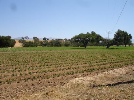 Property in Santa Barbara County, California