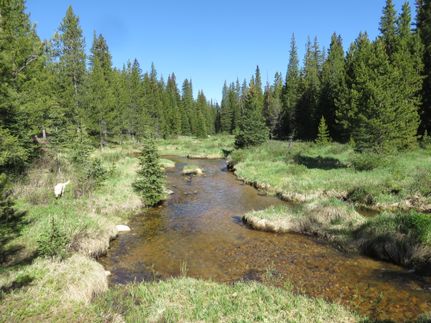 Property in Grand County, Colorado