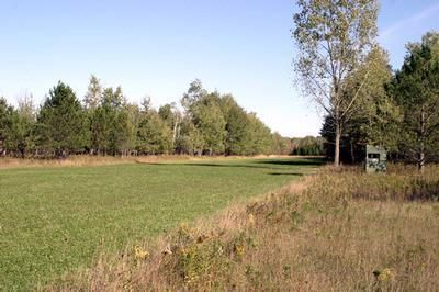 Property in Montcalm County, Michigan