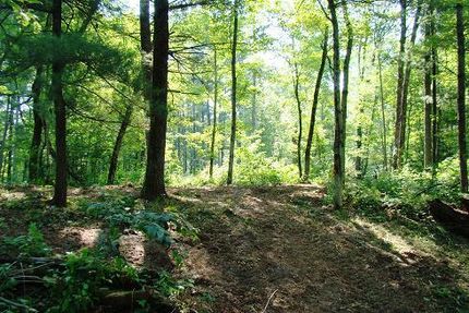 Property in Jackson County, Wisconsin