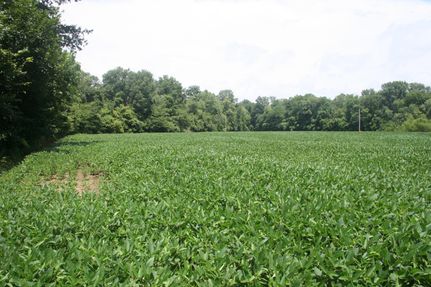 Property in Clinton County, Illinois