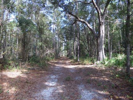 Property in Wayne County, Georgia