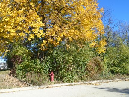 Property in Cook County, Illinois