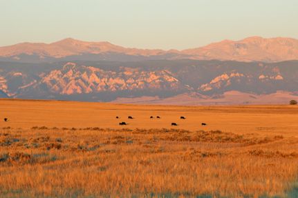 Property in Johnson County, Wyoming