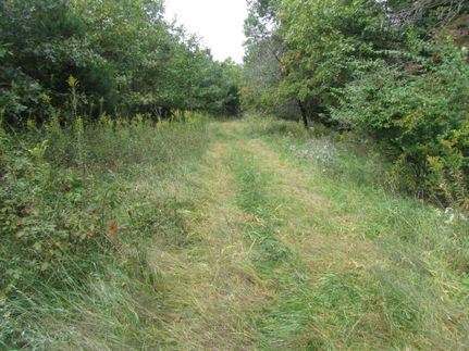 Property in Pike County, Illinois