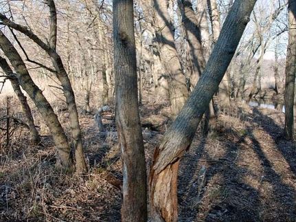 Property in Champaign County, Illinois