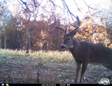 Property in Allamakee County, Iowa