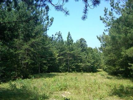 Property in Caroline County, Virginia