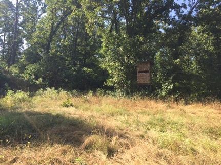 Property in Perry County, Arkansas