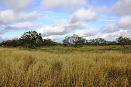 Property in McMullen County, Texas