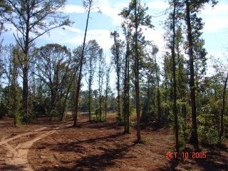 Property in Monroe County, Alabama