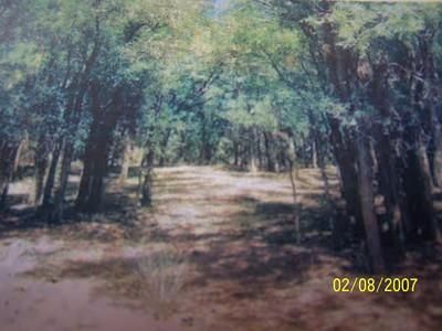Property in Childress County, Texas