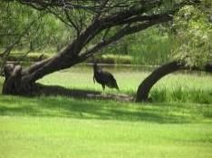 Property in Howard County, Texas