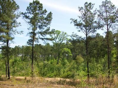 Property in Dooly County, Georgia