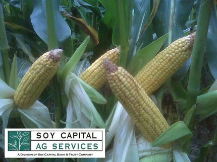 Property in Lee County, Illinois