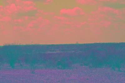 Property in Medina County, Texas