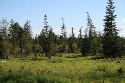 Property in Clearwater County, Idaho
