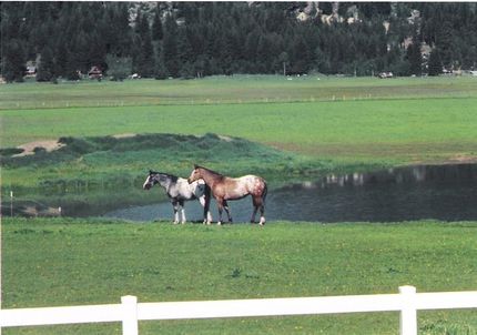 Property in Valley County, Idaho