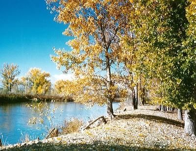 Property in Canyon County, Idaho